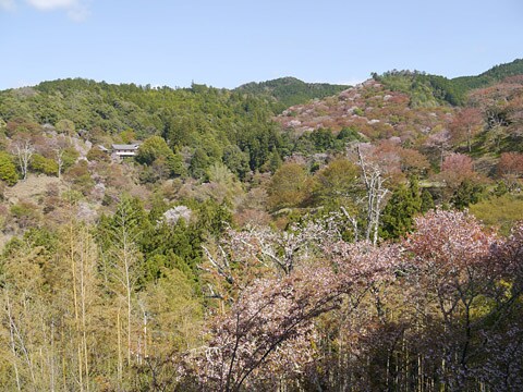 c0a91d4765e8f54dacf9c39139cf429da57c2fc1.37.9.3.jpg
