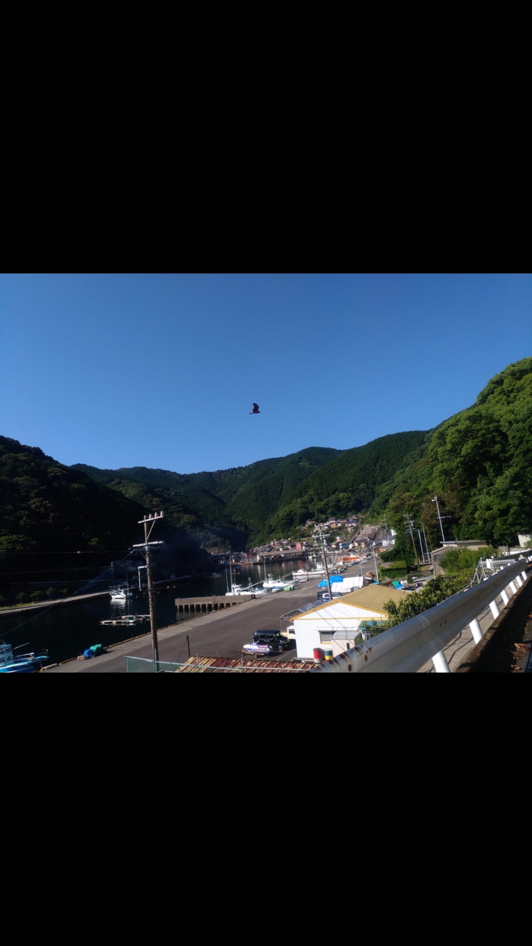 7d90fc8783c9229d5153ae846006ac985d11a596.05.2.1.jpg