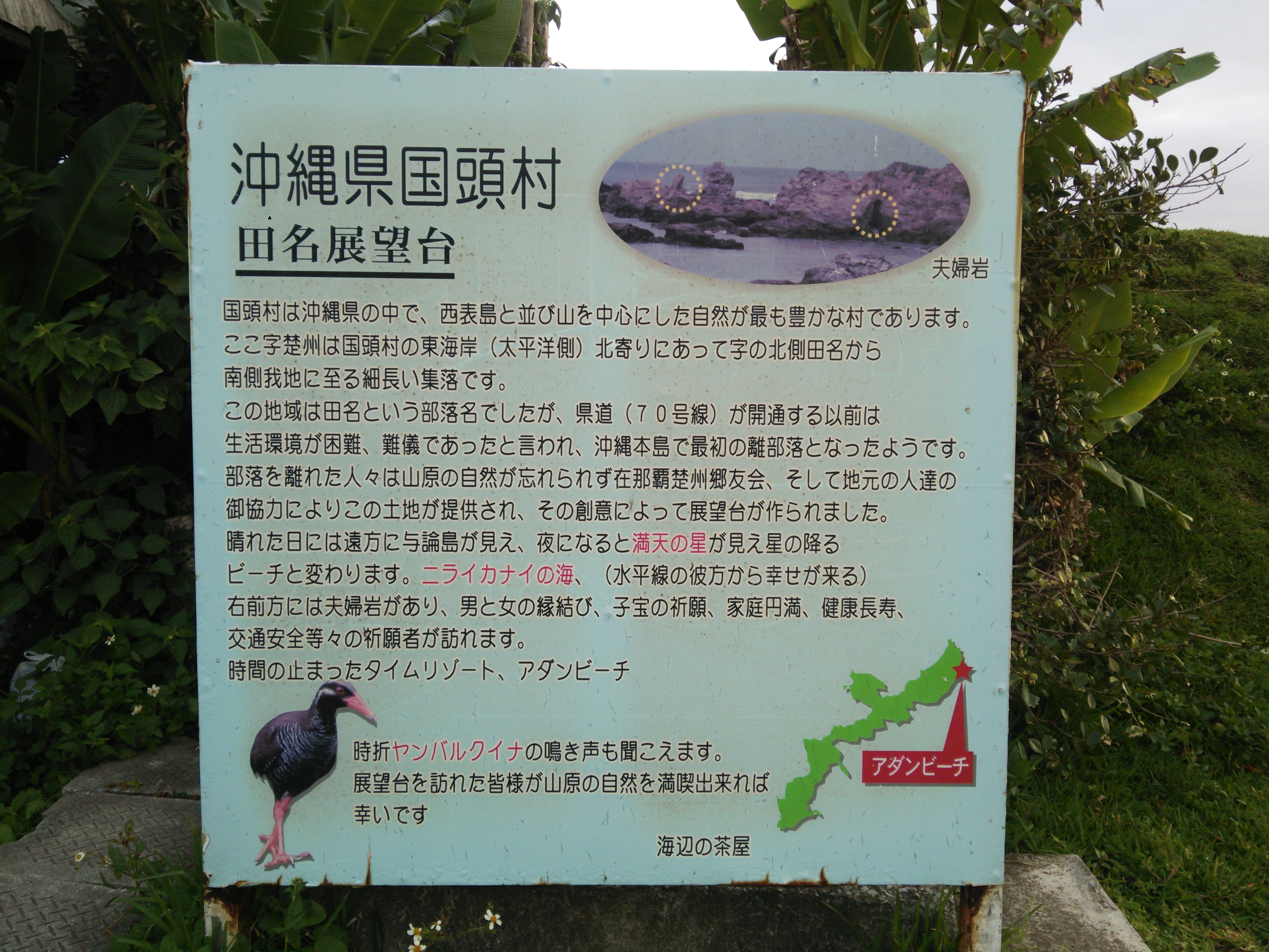 b348bebd55e274539567b20d5be08f94d0ca360b.95.2.1.jpg