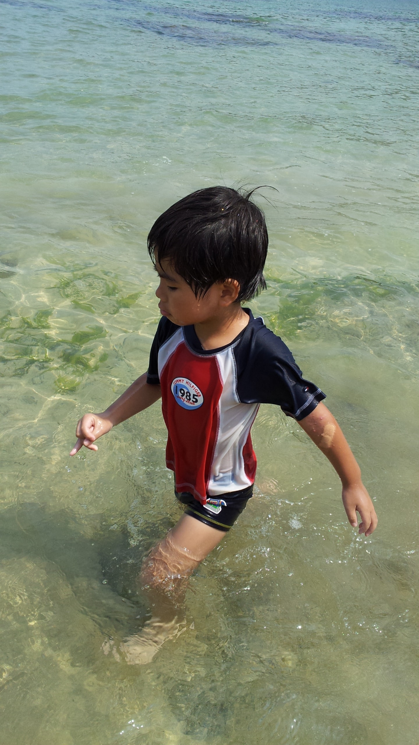 1c5acc18b1eeab63b5d782adf76f83749d9d5a9b.59.2.1.jpg