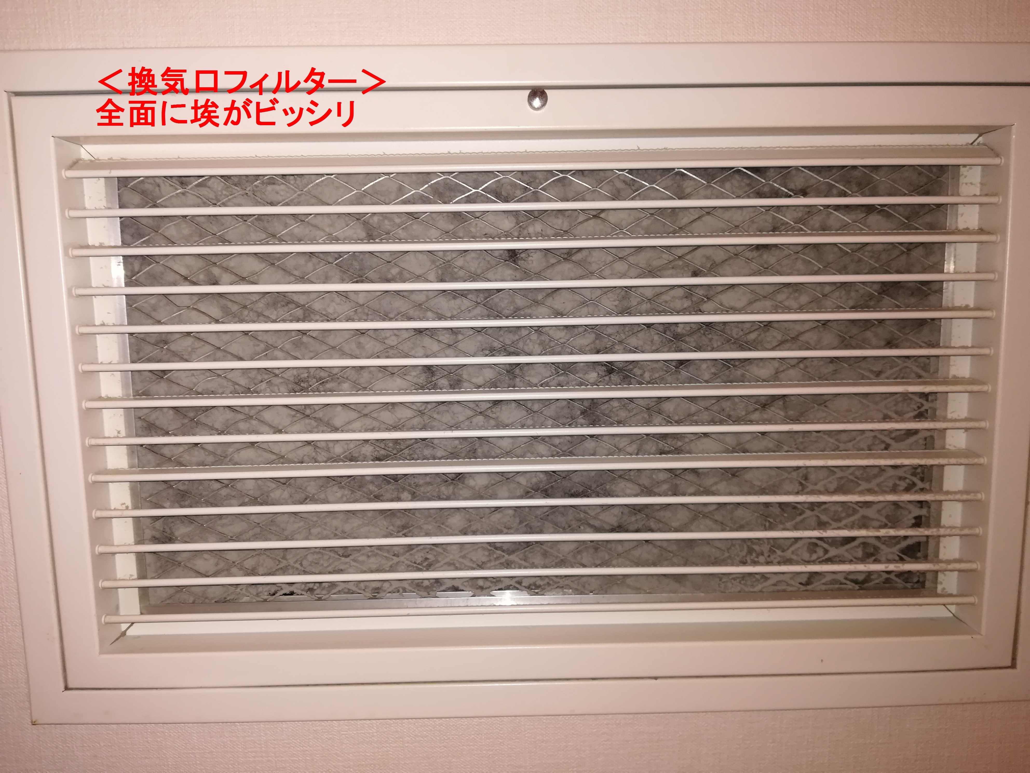 9227c0b1dcc895c2d43a867fd7a08308ad5406a9.74.2.1.jpg