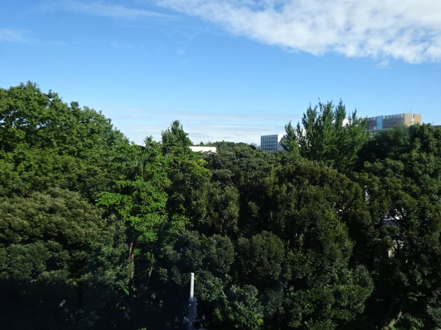 aef8a7674d8521f60e96a016d4310067235edf63.75.2.1.jpg
