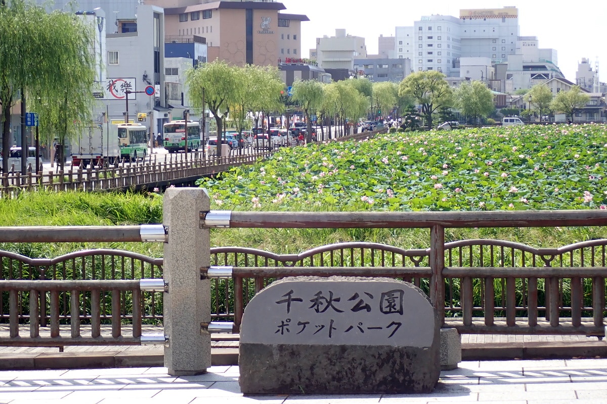 93acd4da1d20dd2d67deb2de48252a65185c4f25.70.2.1.jpg