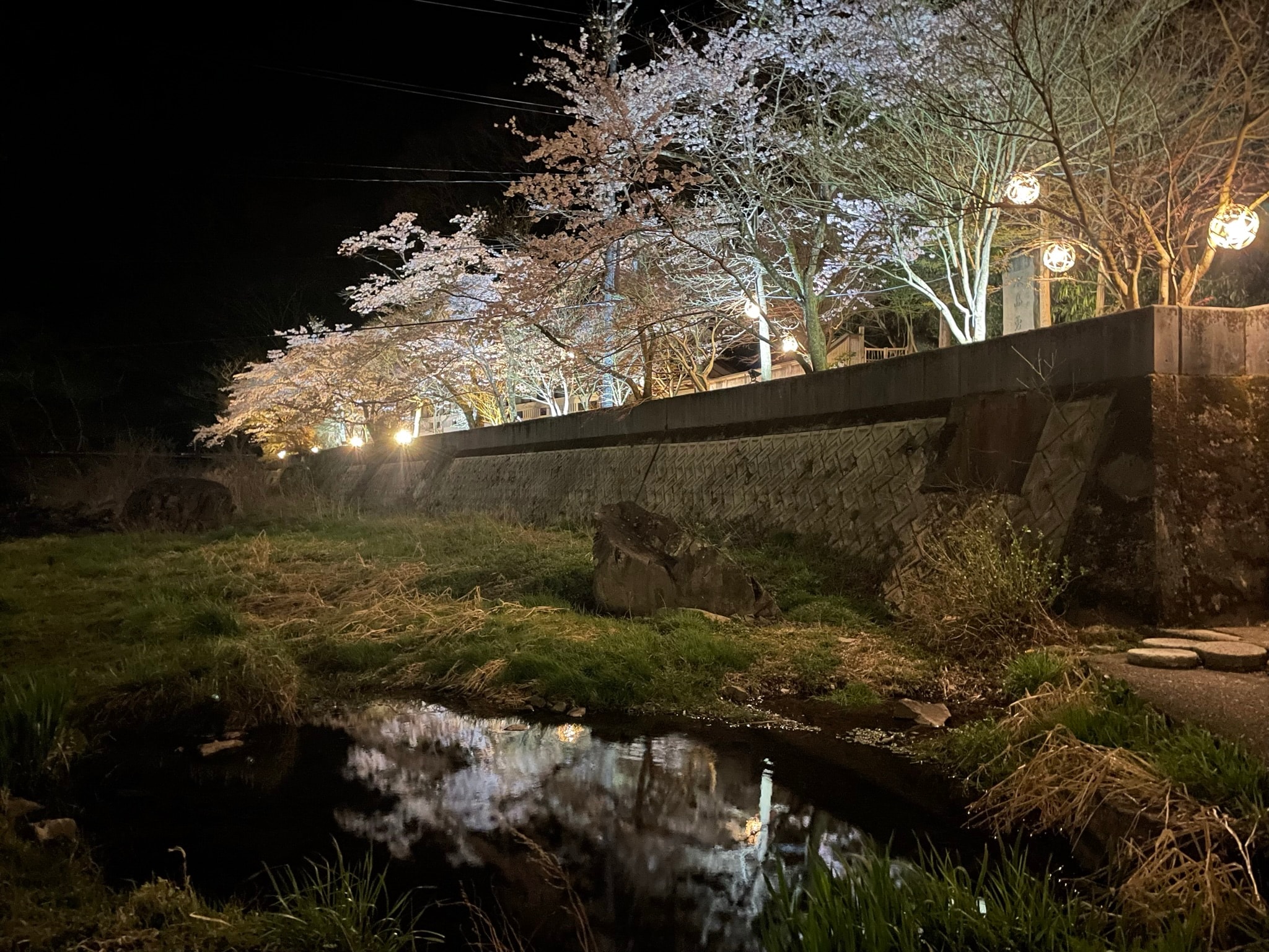 dc39ff0ae235f091d82ce1822defe9e62968972e.32.9.3.jpg
