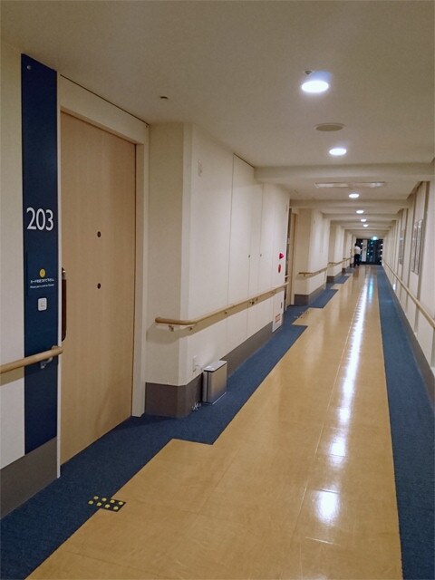 45f62c3935f032c9e9fbacd5153606cd30afb12a.67.2.1.jpg