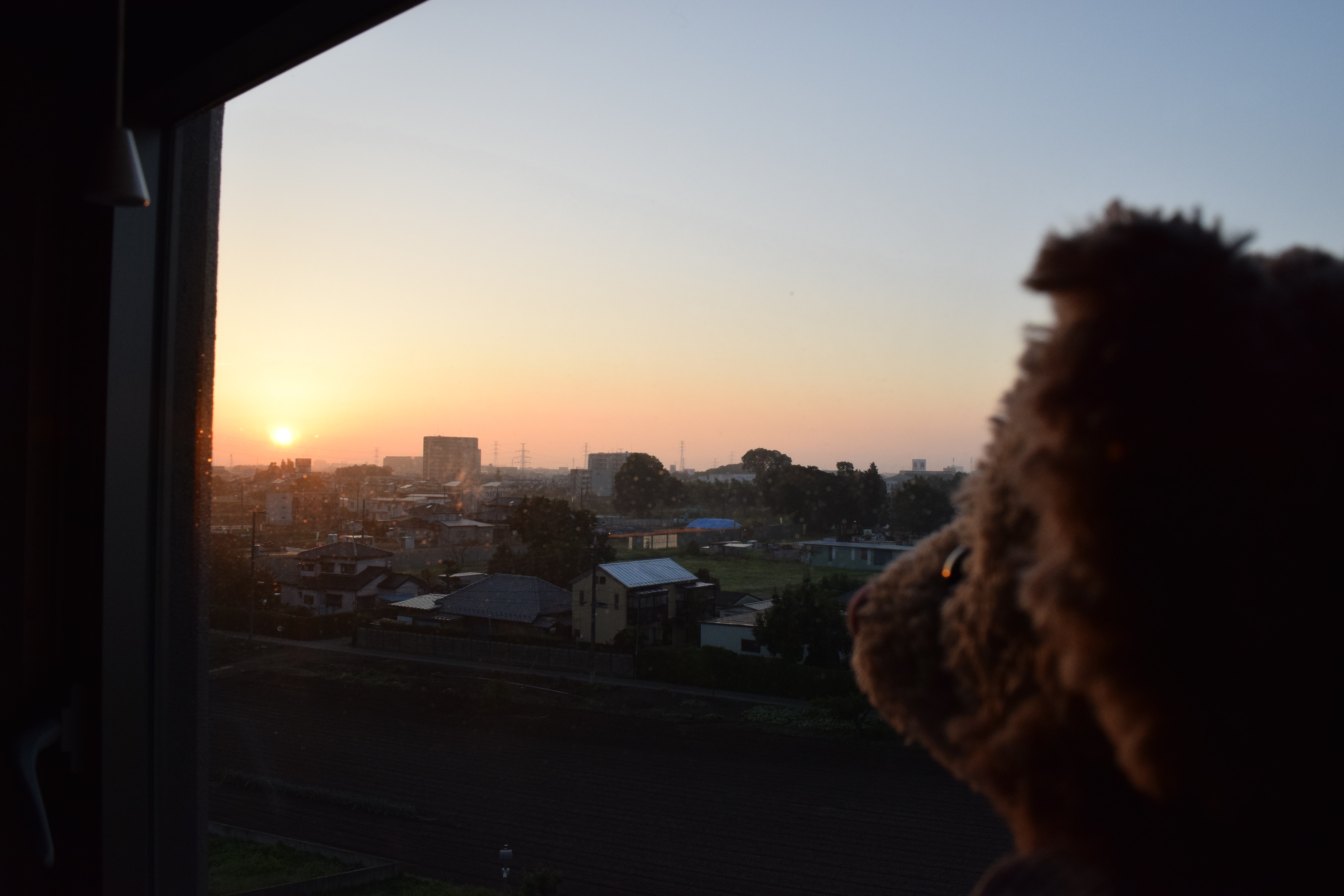 58936f57ba9b452341899f68778d5a8b9efbc143.61.2.1.jpg