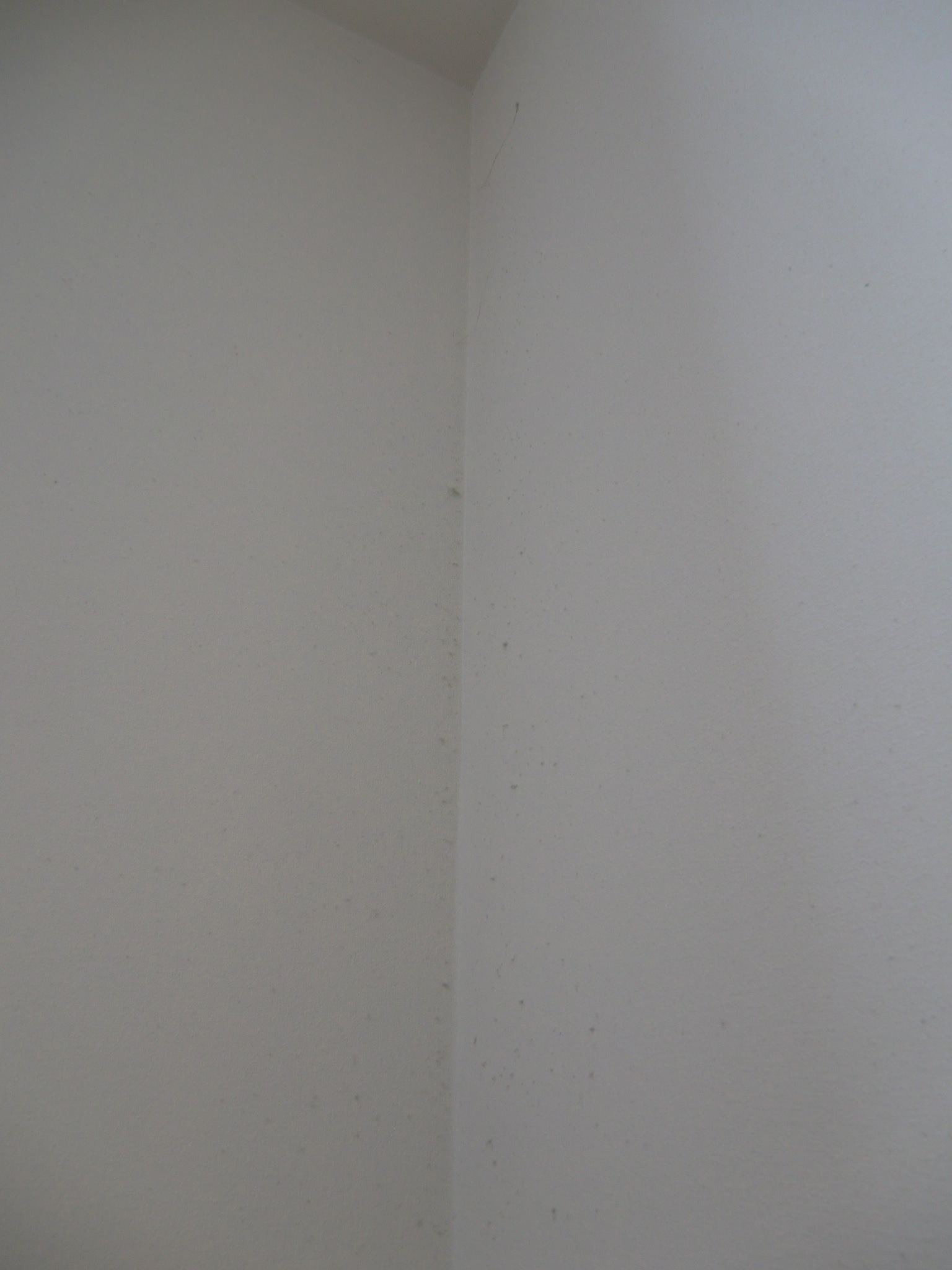 8f08a3eab6a9fd64ea2ebe2f52467215f4cd7182.41.2.1.jpg