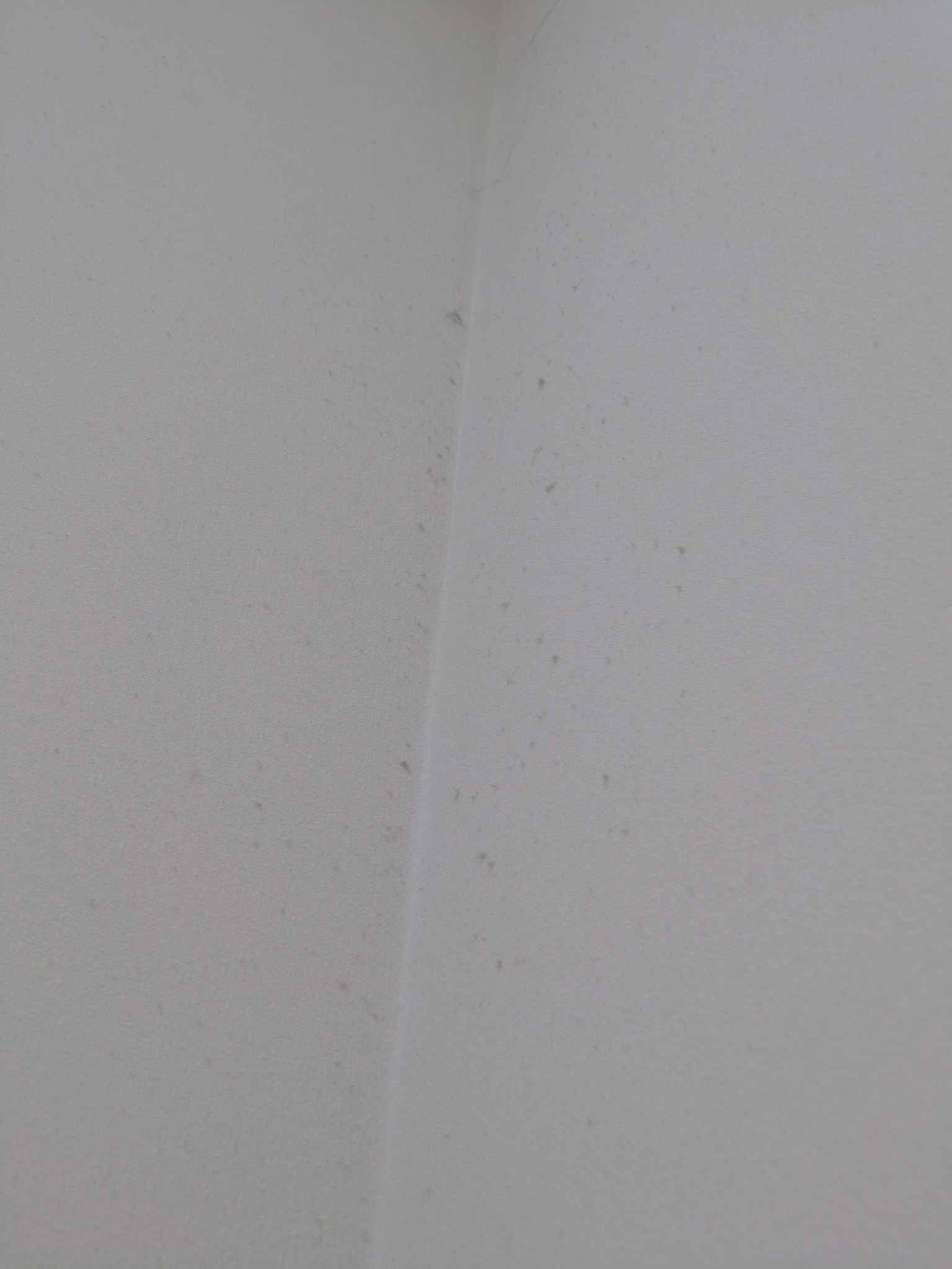 a8a0520d5ce0dd4b936d9de34945d5aa7009fd99.41.2.1.jpg