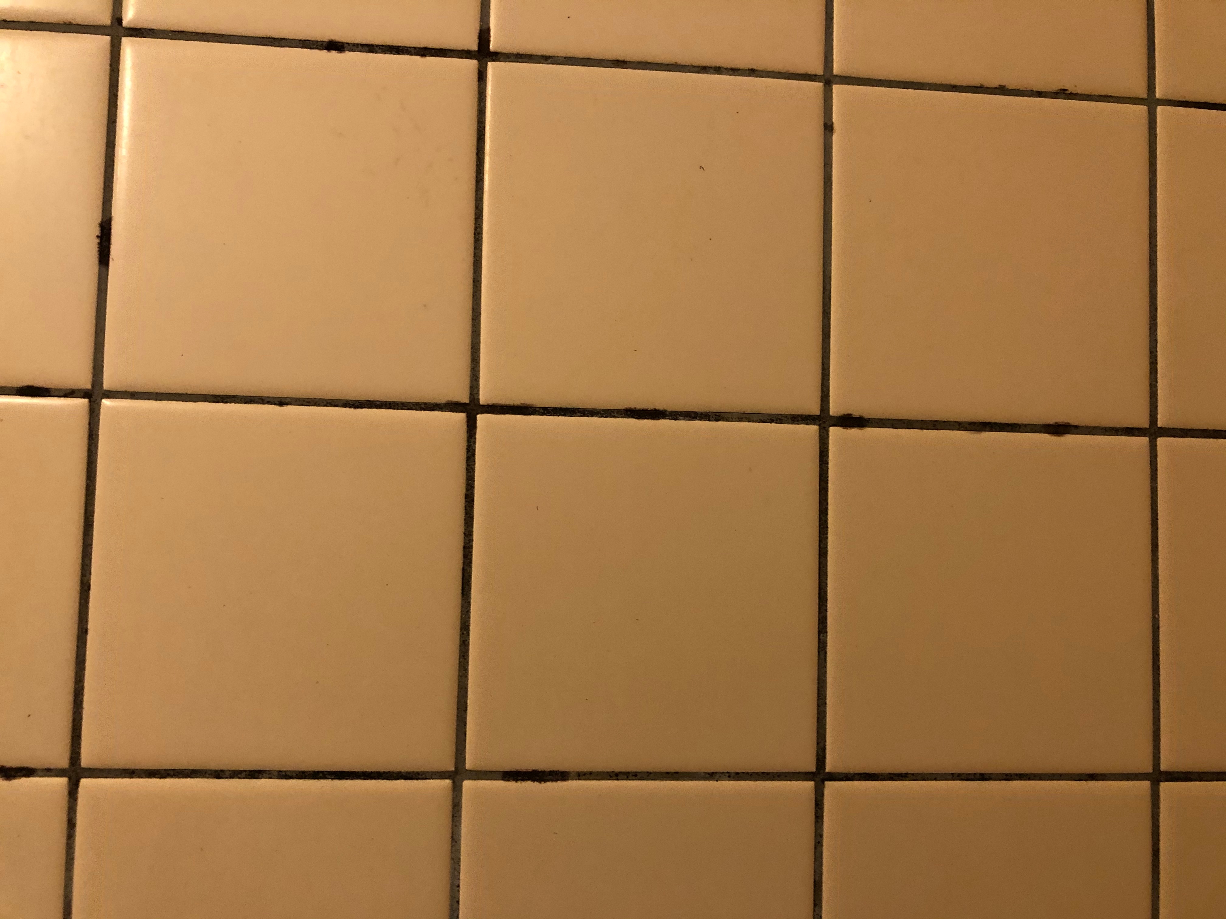 18f8890f2ea1f91e9eaa3d48555f442141d5f4d8.68.9.3.jpg