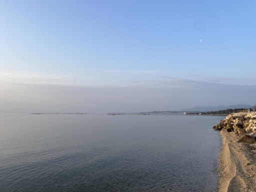 47ad03d3647c4a69d069bc9092aad0215f9c7ebe.39.9.3.jpg