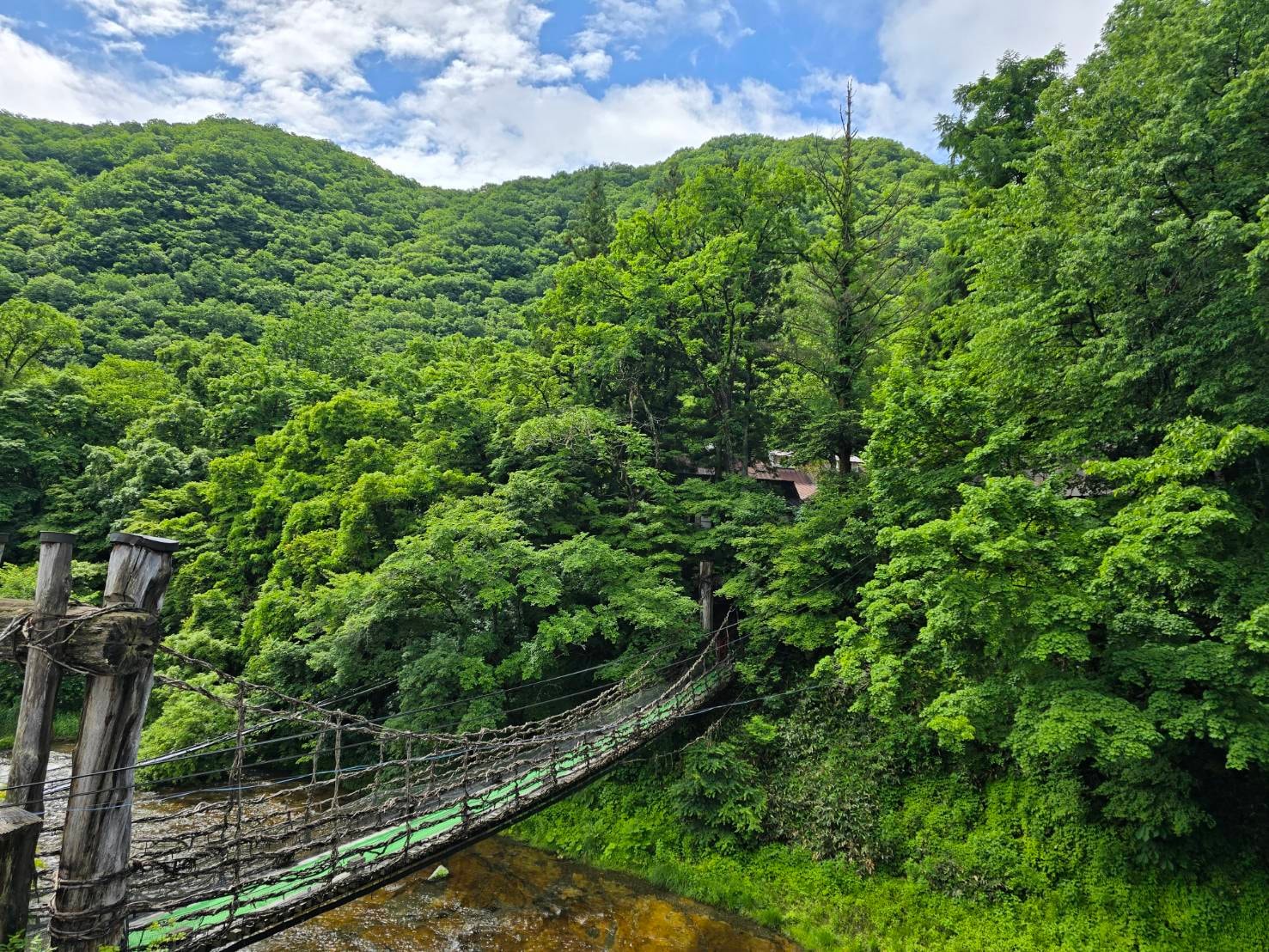 61b7f0ec2ff7872f424dfecf79673835ef20c7ff.49.9.3.jpg