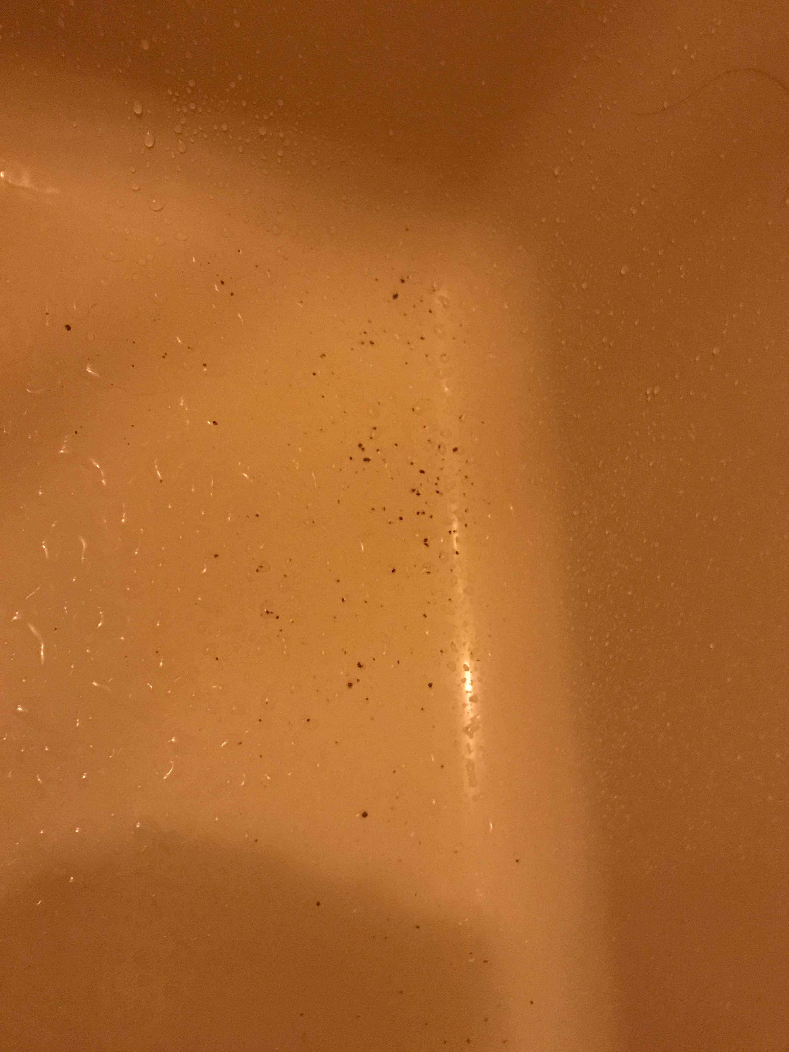 c13ad85466f4930049f772037437226254a5f0fb.22.2.1.jpg