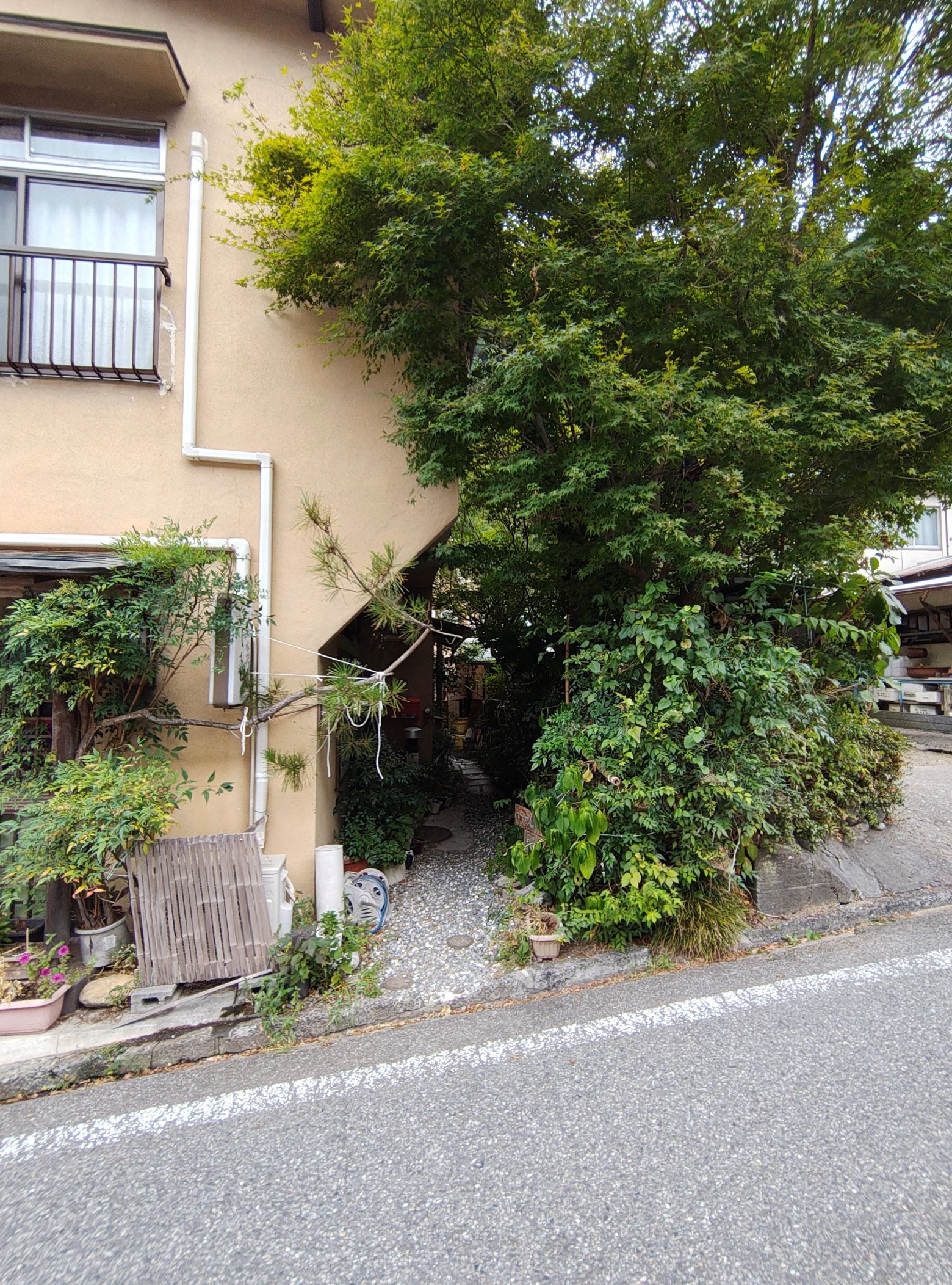 db5d7591cdd4b4c076acead9d81bfef40ec7bc41.39.9.3.jpg
