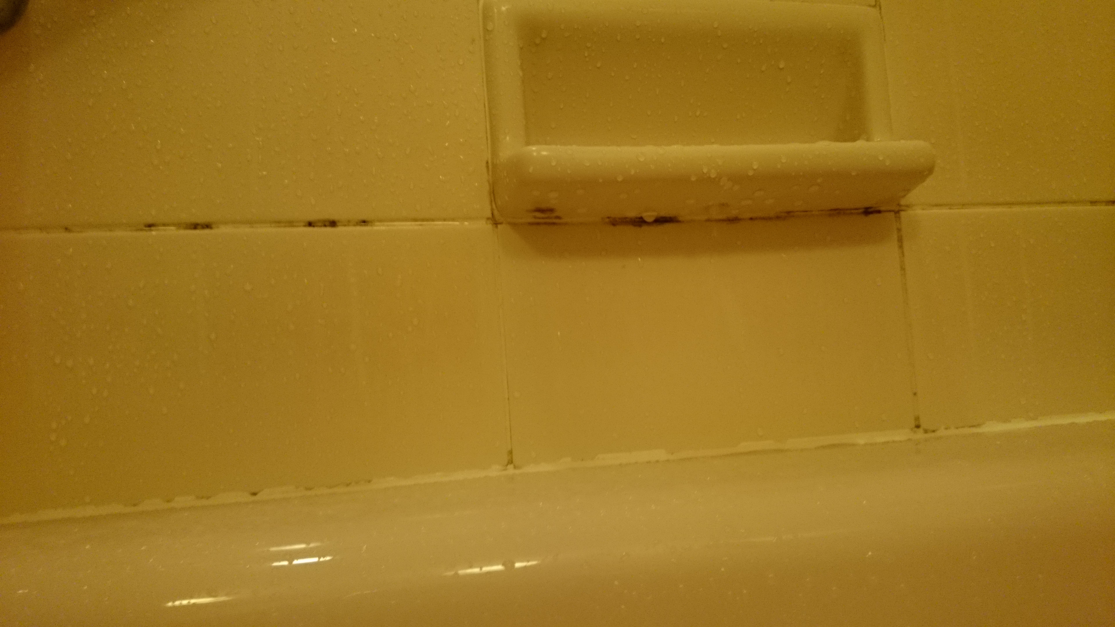 0a53a3239dfda404a03ec57a1bb03bc18283343f.70.2.1.jpg