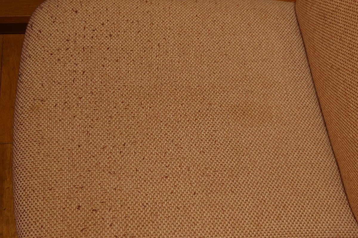 e4a625bceb3ea285c96c6923199fdad25f1e1adb.39.9.3.jpg