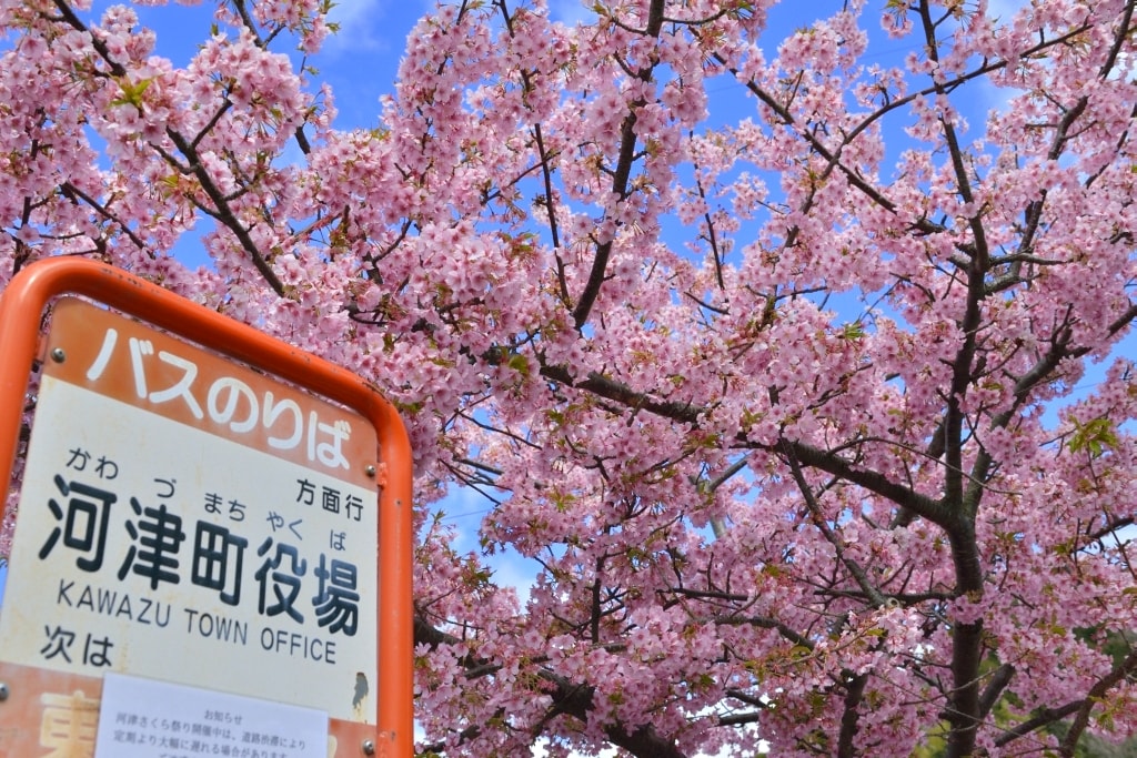 c982f8f844f2295f977efec9edc22467a321236e.03.2.1.jpg