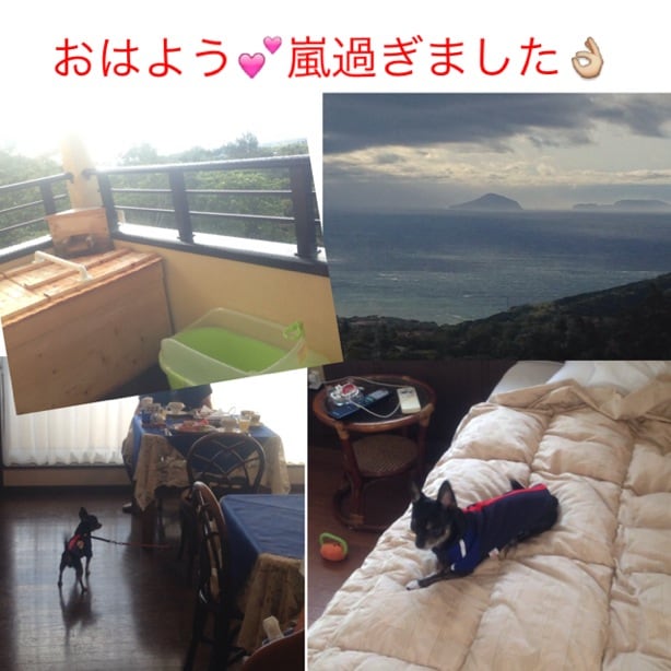 8d8bbd9ba98b93d732ae4424ea443a5ca60ddc63.96.2.1.jpg