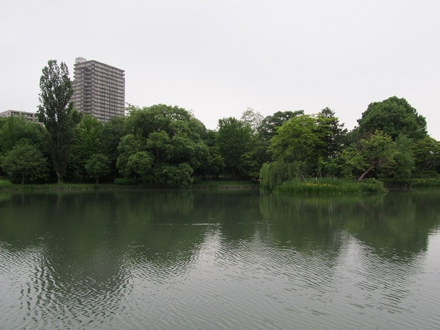 94482f263a4f0fc381e225b956f96c6f3b2a0d64.17.2.1.jpg