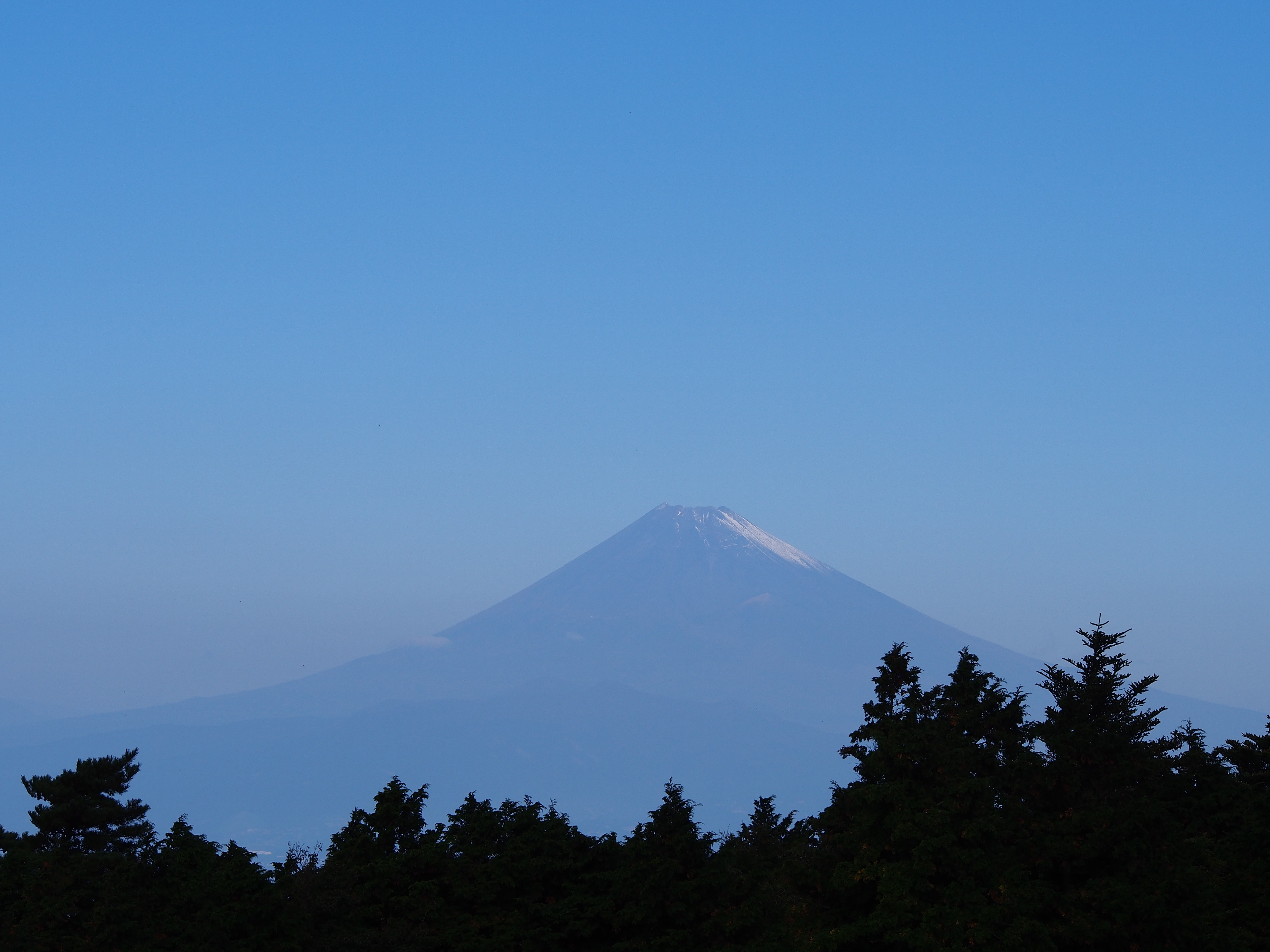 5c93f7a431d0c754030ed1d3b154dc48b94bc5d4.64.2.1.jpg