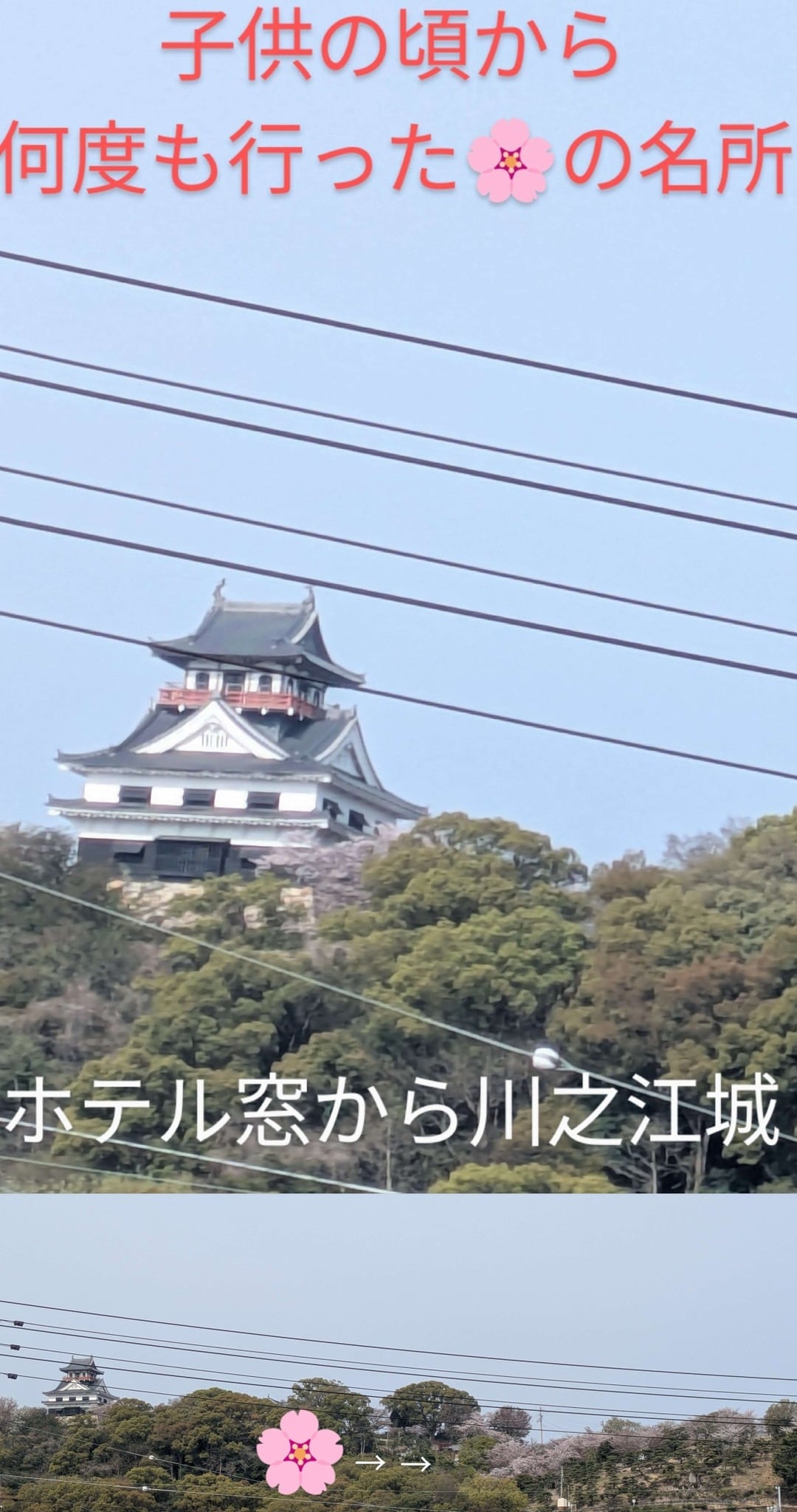 d5aeba2e5d5382e941f08d63770ac5e5798d86d3.61.9.3.jpg