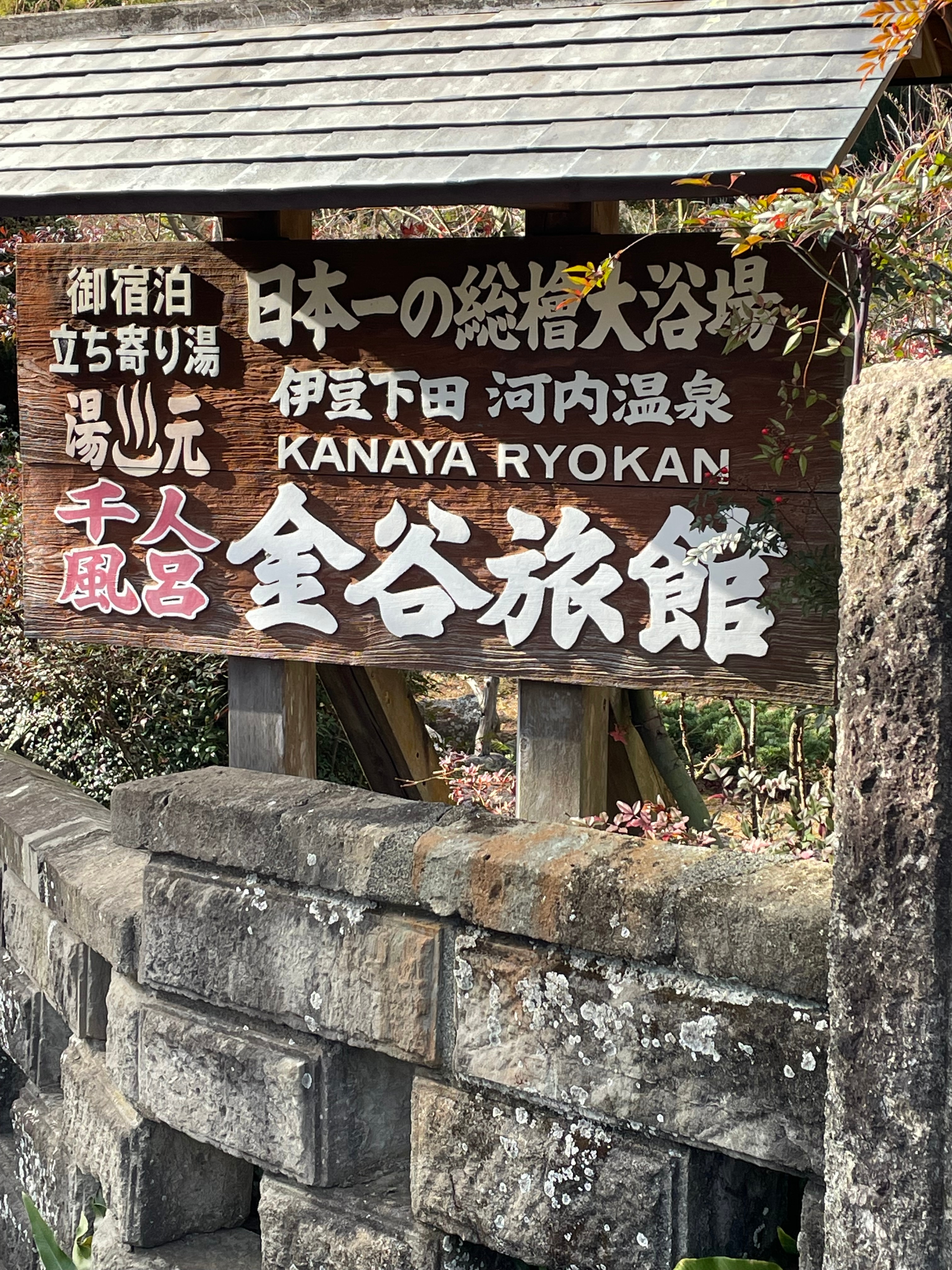 7d743b77a329eb940a32a894462550be1a896900.97.9.3.jpg