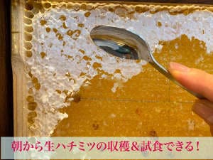 62c7ff9a9f5531e54c16f81c1fa761d6d26d7e03.24.9.3.jpg