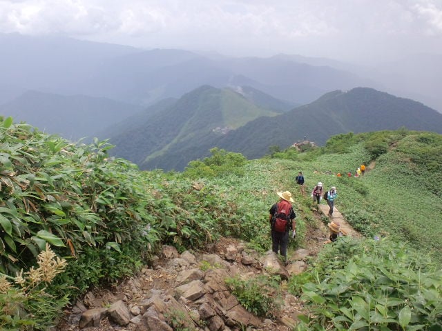 9b894c9aa3d2614f9b381c85648af7a9aee0e47e.45.2.1.jpg