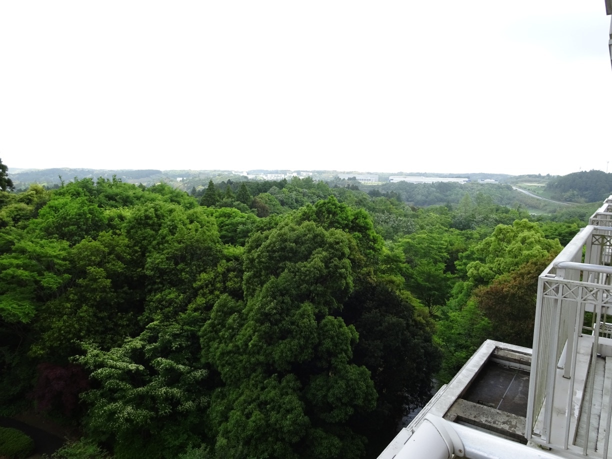 0c1258ae384efa60db552cef1e287fe5650ed5d7.66.2.1.jpg