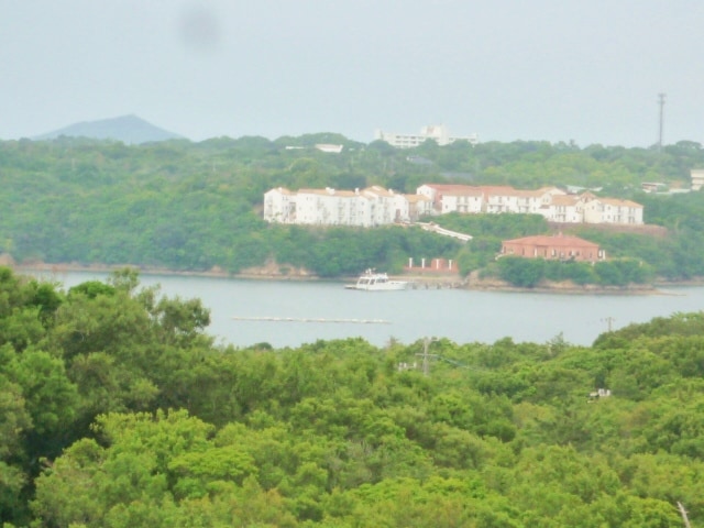 5ae5c184026fc328b5fb96239e7dd423c706ded0.60.2.1.jpg