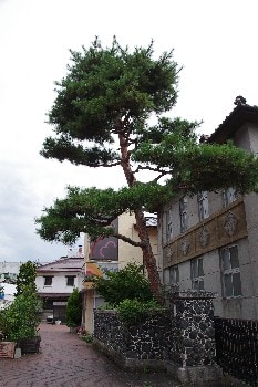 adb697848348841bc6df522cf850ac8ba89a4f73.19.2.1.jpg