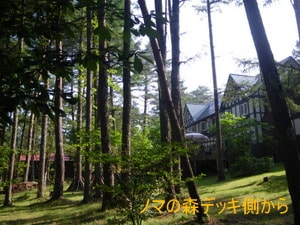 fbc7bd62bcf2b3afcf5e6bcf5de986cebcac691d.58.2.1.jpg