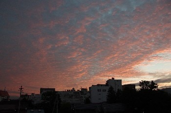 4e88dc43e2b1c15aea8cc6afbd1f7738575bac2d.19.2.1.jpg