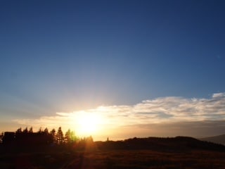 63938f875811433a4492cb7a75f8d42682e675eb.77.2.1.jpg
