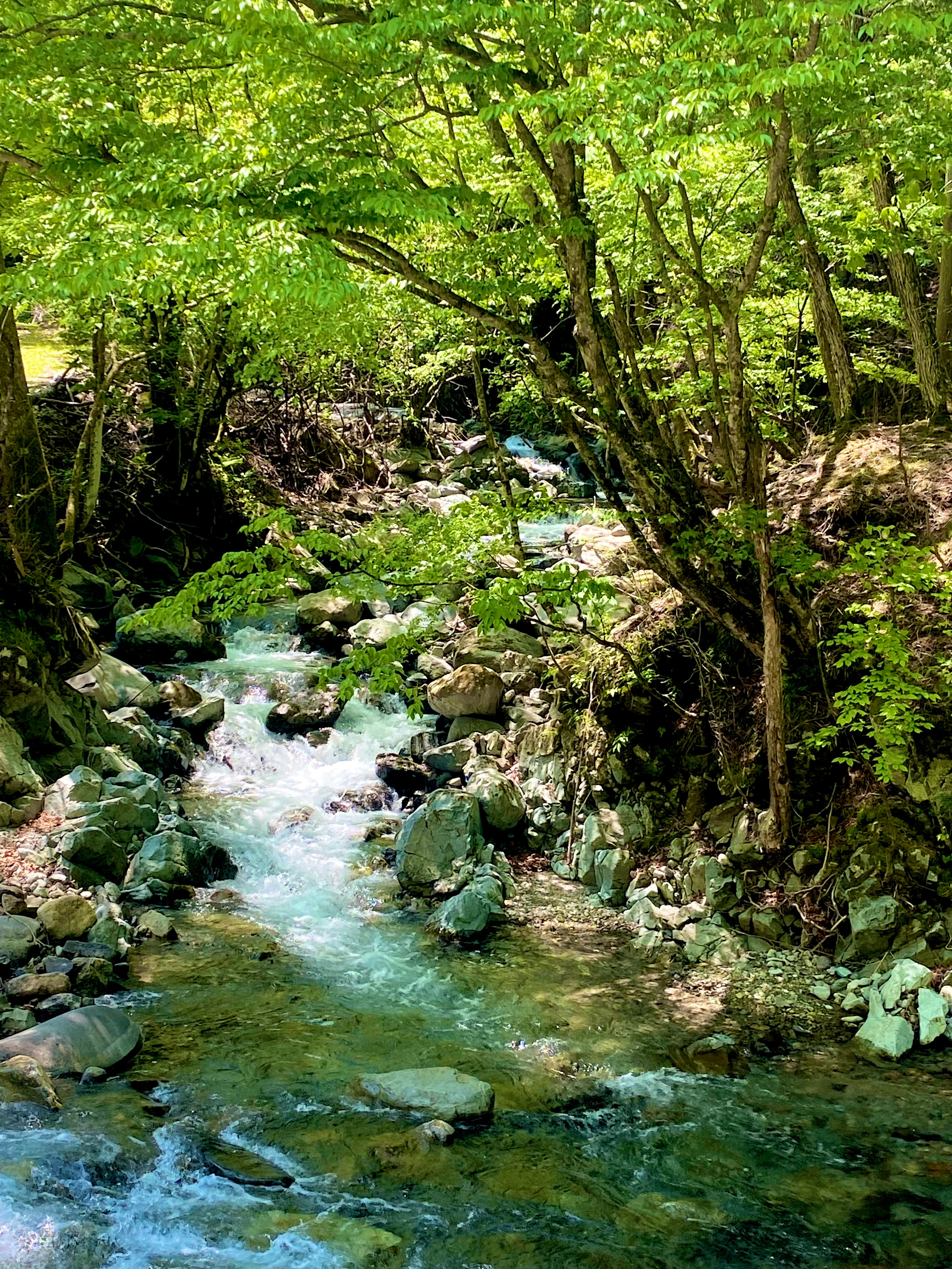 d2de9c40ea1bb5f5823ce582678c9776a1e0eafa.77.9.3.jpg