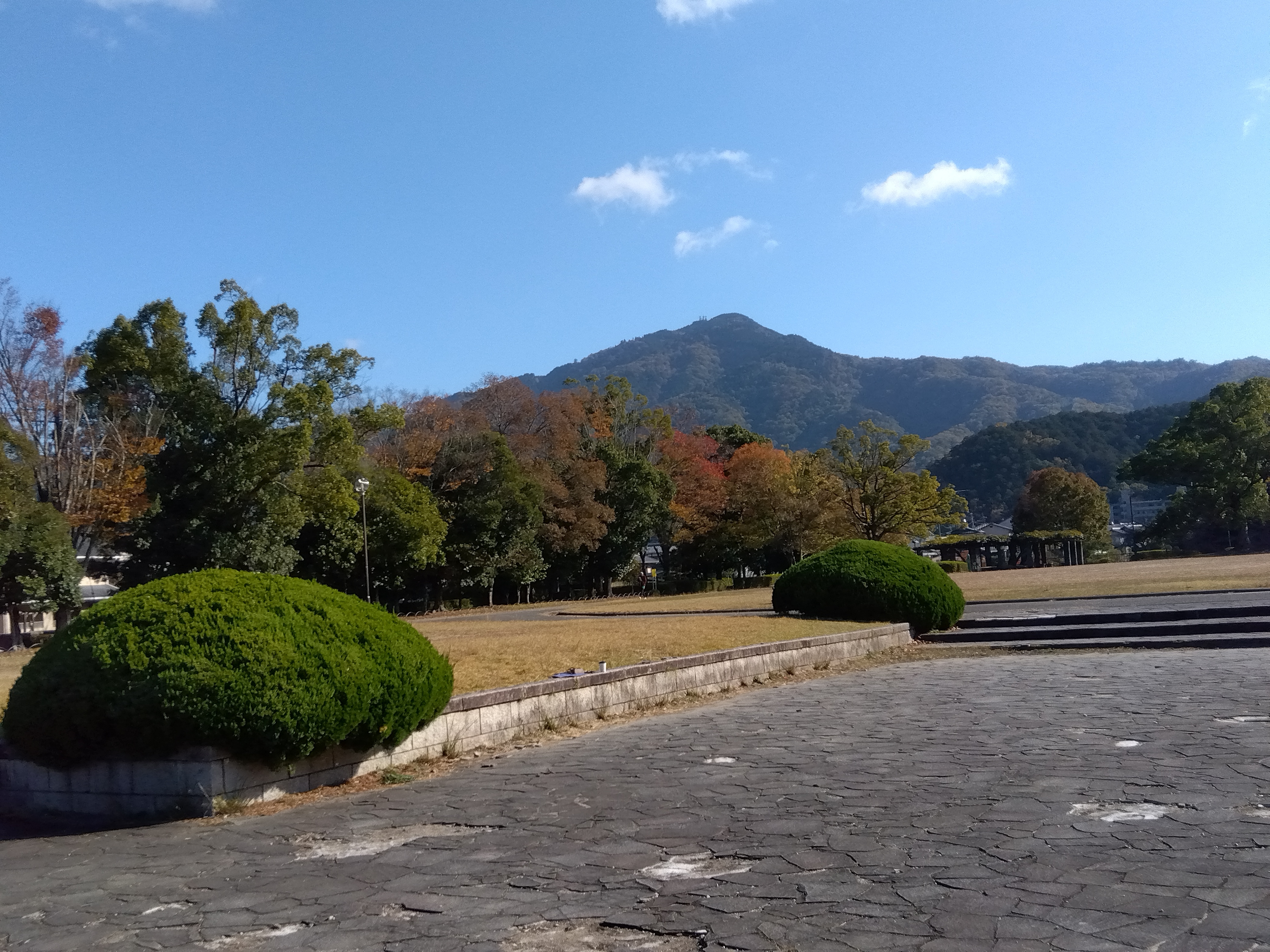 81cb9a414fa4cae22058ffa87d15cc6f1d59596a.34.9.3.jpg