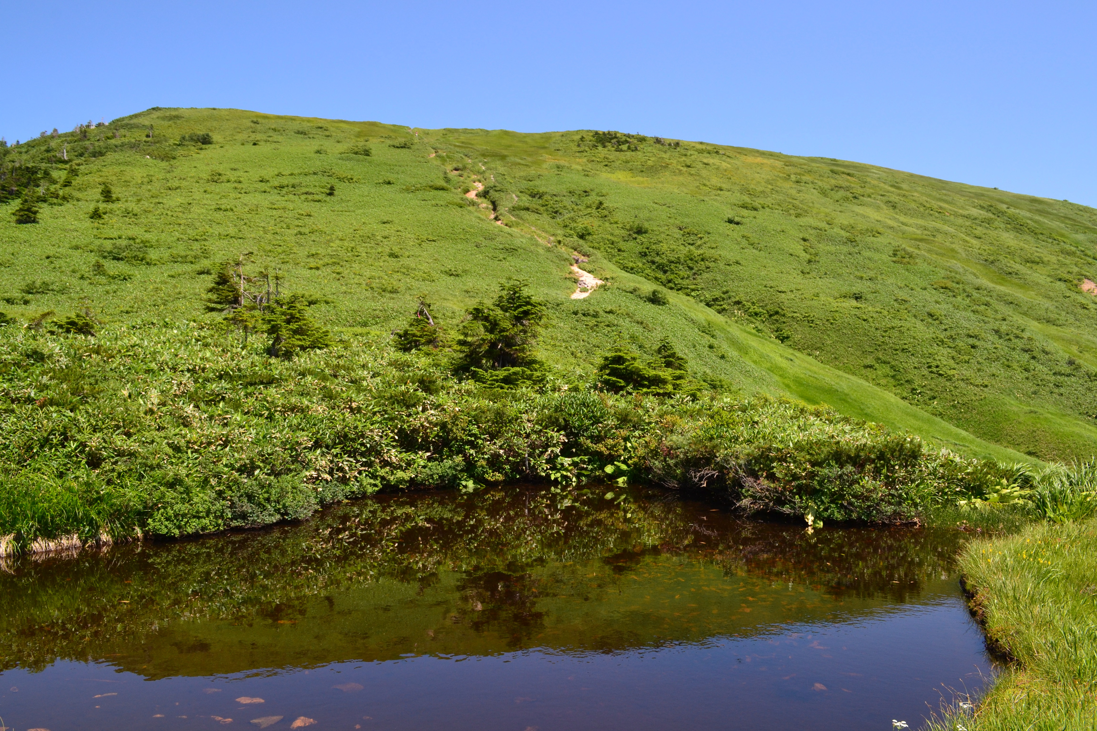 fefafced88492b0f9fffa8147c17ab4430f7b0e7.96.2.1.jpg