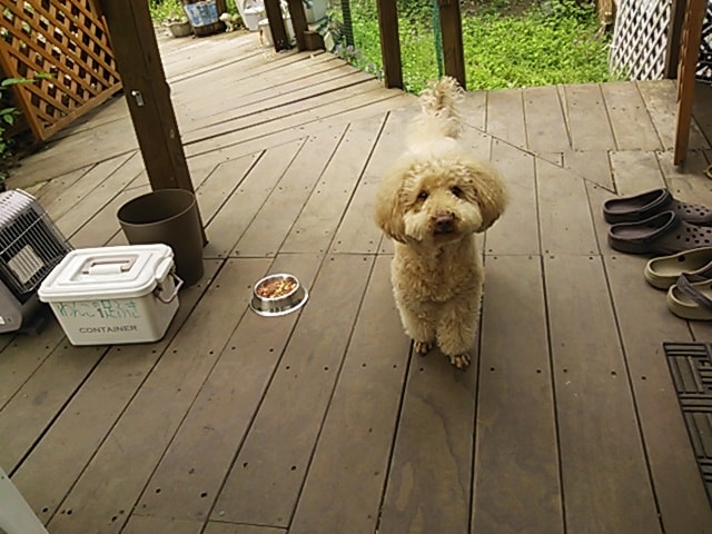 b9e5af466a8936b9cb6cbdedb1a8835fbbeb8883.19.2.1.jpg