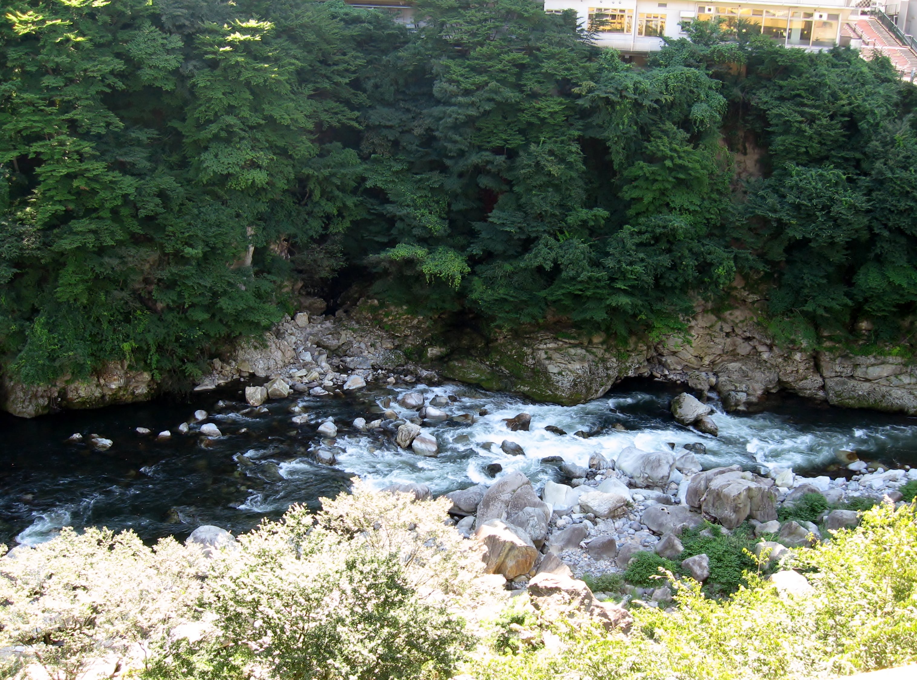 37d9eff3de2d7f12b63b8559d2207f1eb753e3a5.00.2.1.jpg