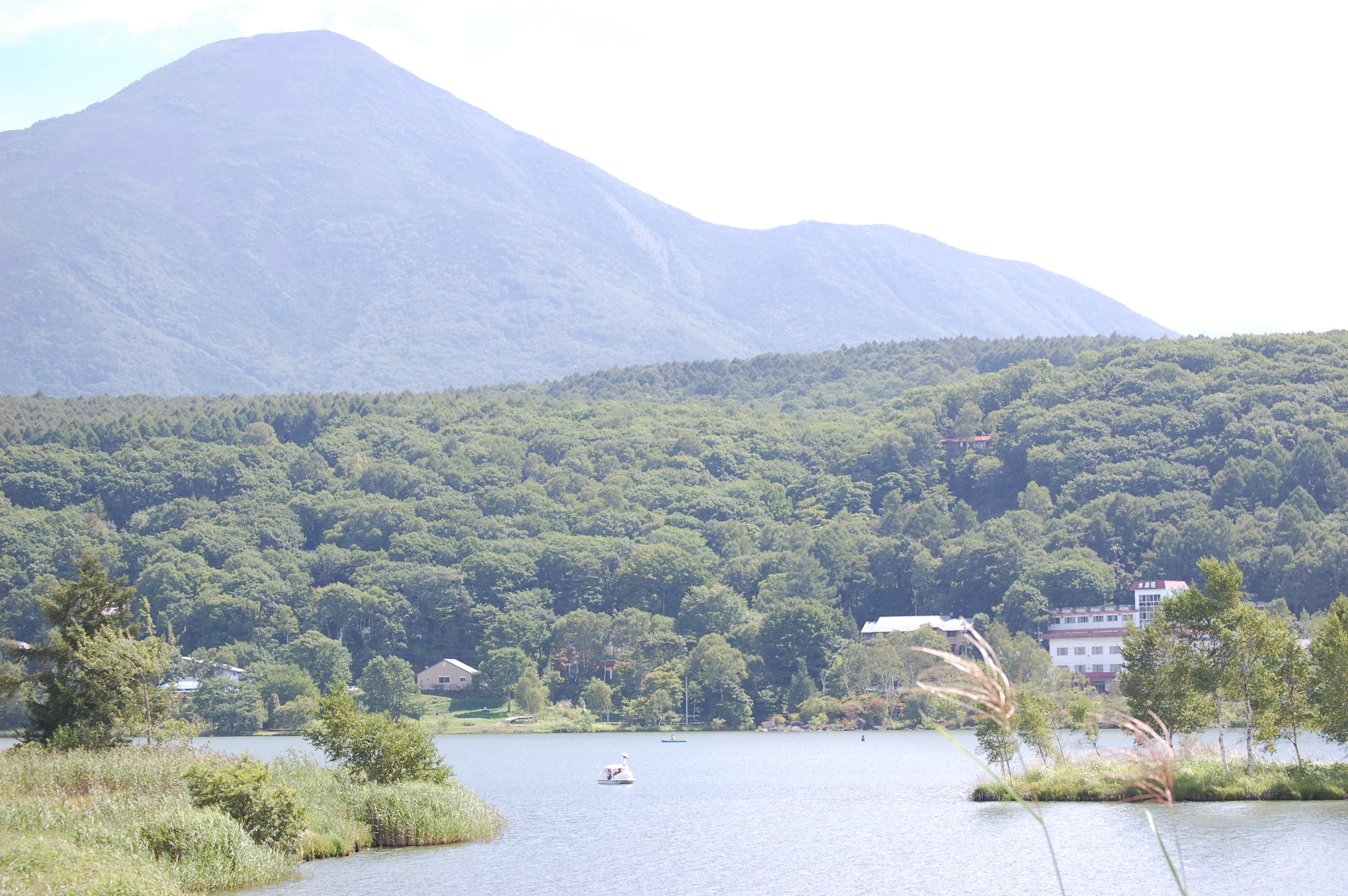 d80091a44e108bd5eecd9017b668eeccb28ae396.57.2.1.jpg