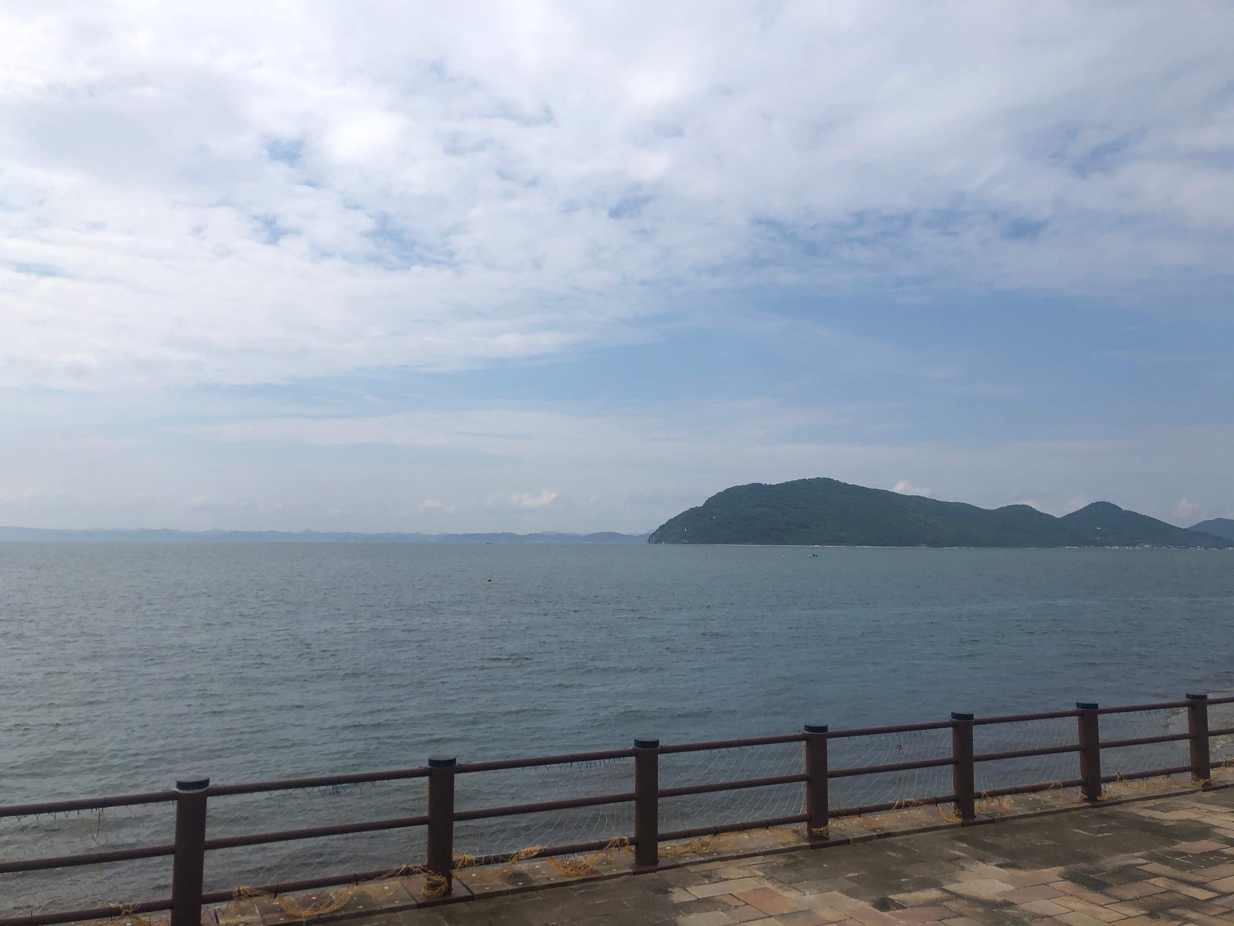 a97d17618d5f9cc15e6e8de38fb237bc69ebc74c.48.9.3.jpg