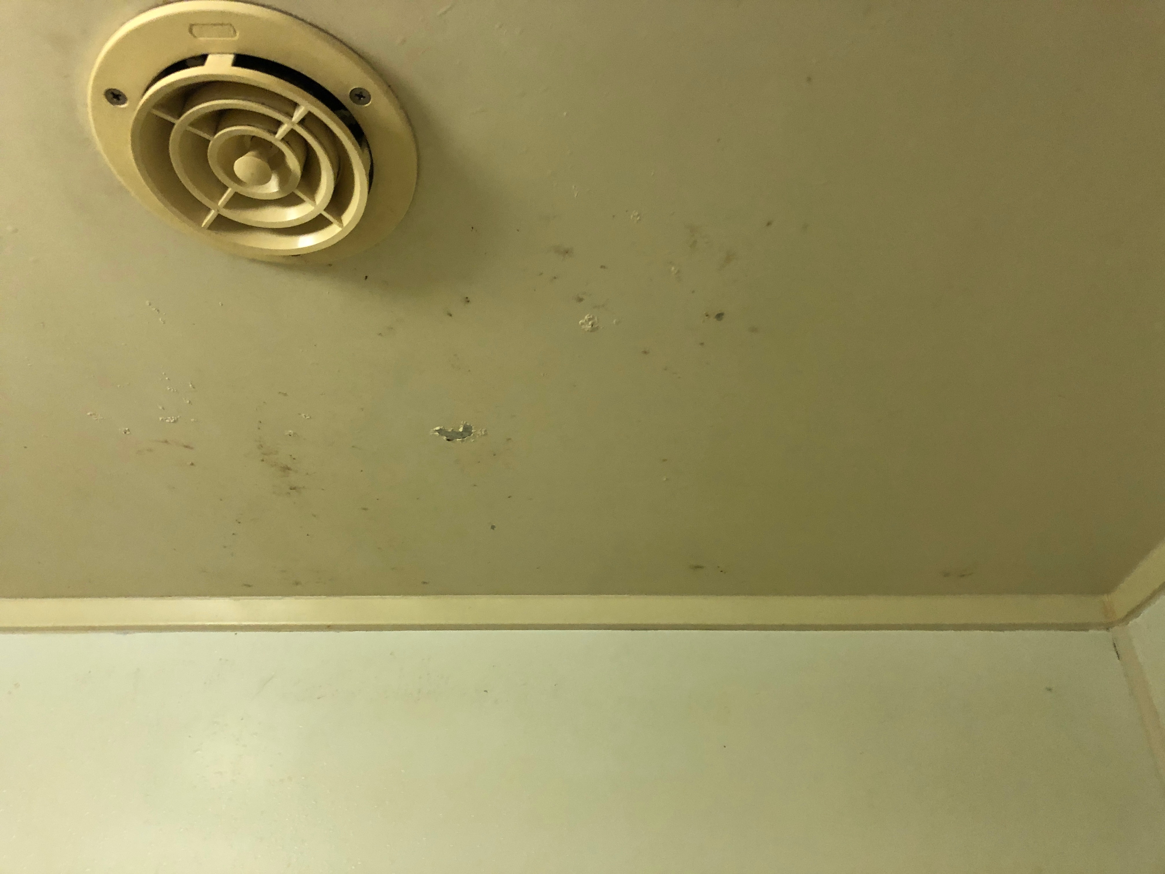 b2c671fa4e3c080cf0eb98bb157e54dd1fec2a74.32.2.1.jpg