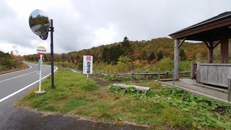 558ff101ce366ec28dcba79f5e446e680647bd33.74.9.3.jpg