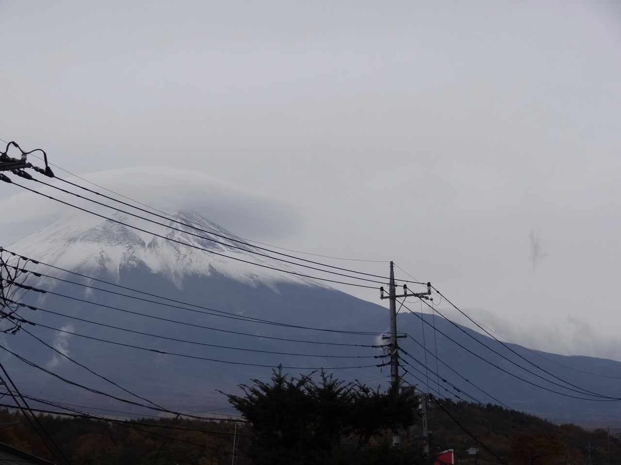 c909f7b922ce3e956d9871ded56027c67d8b4c7b.42.2.1.jpg