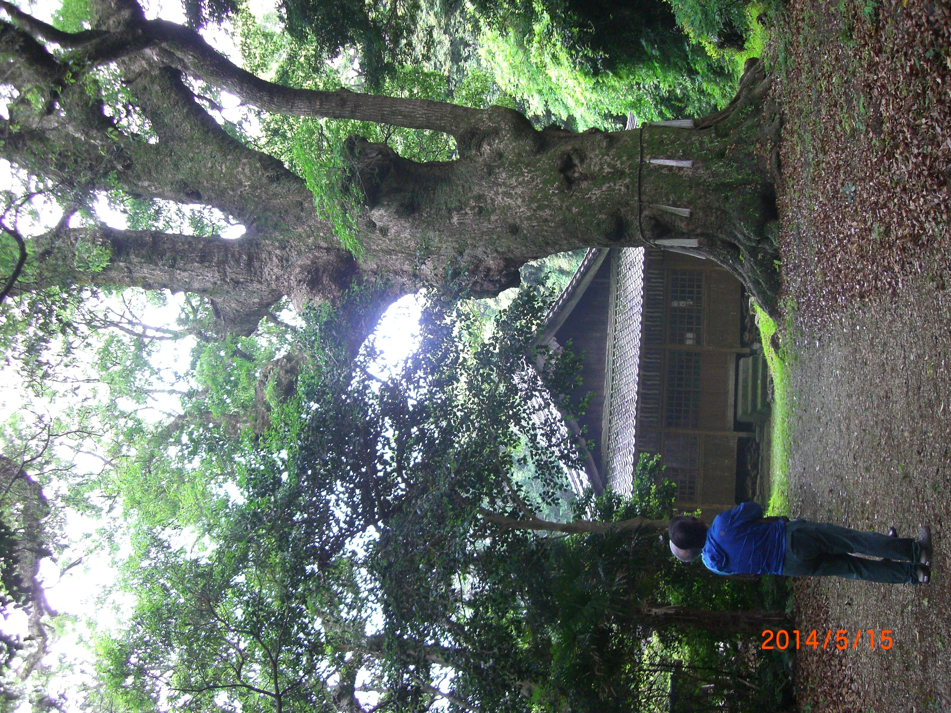 2e19de20ab4ac94d1d8de75ef689a69e43c0caad.42.2.1.jpg
