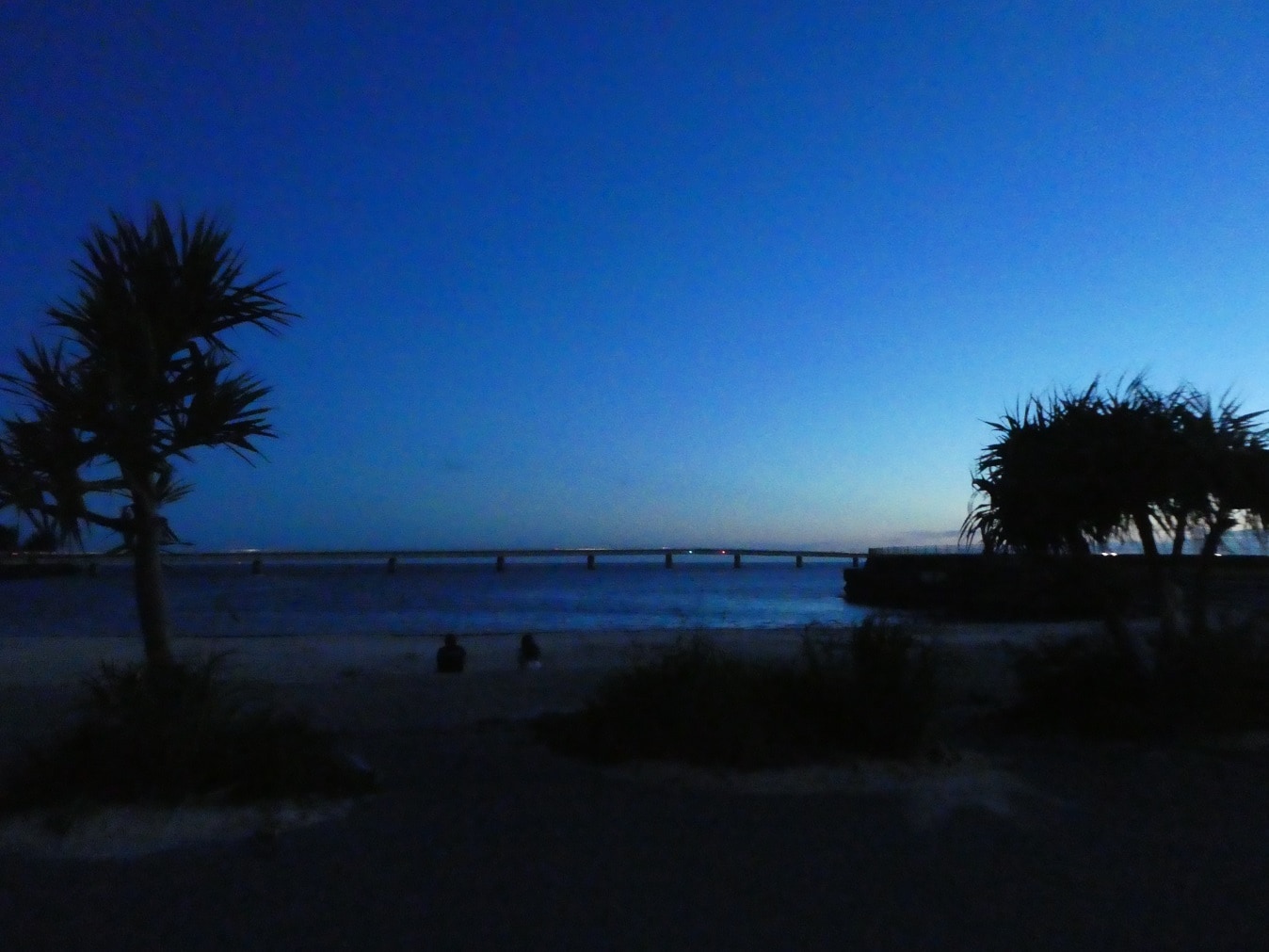 d808099a95624cf15eb294d4f21197a33a0d11a3.17.9.3.jpg