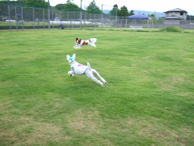 f1e3b5451422266500443cfbdc331b3ade5e6640.88.2.1.jpg