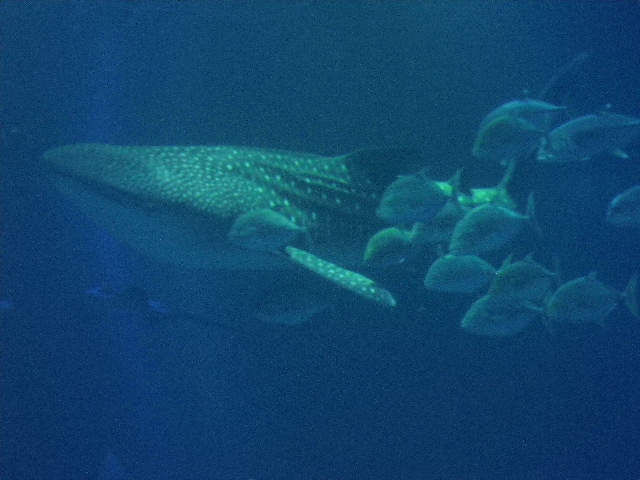 b3150363c2106594803ad1fd08bcc84ed90b4d4c.30.2.1.jpg