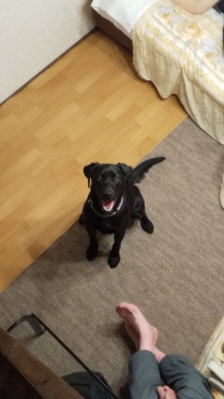 89b5738dc09a570aadc5ee96c364571cc9727801.39.9.3.jpg