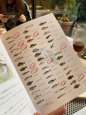 a13633307d79f9341ce14ca98b9adb1ad7fb0d4e.13.9.3.jpg