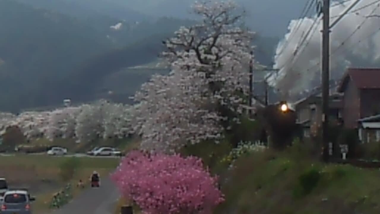 42f717c4515705df496c74cc341437bee0035cec.77.2.1.jpg